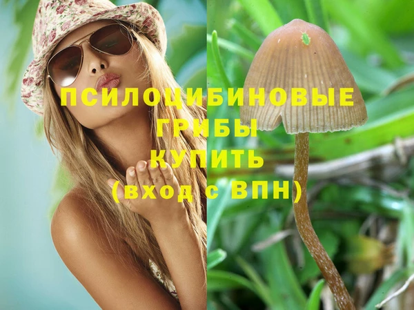 скорость Арсеньев