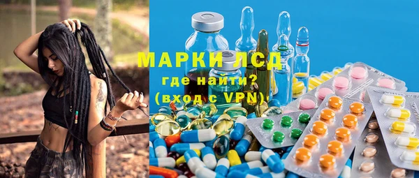 гидра Аркадак