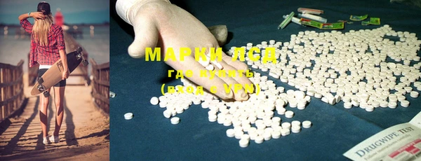 прущие грибы Алексеевка