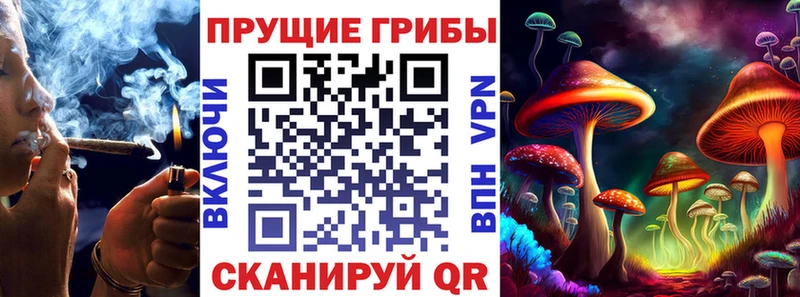 Псилоцибиновые грибы прущие грибы Новоульяновск