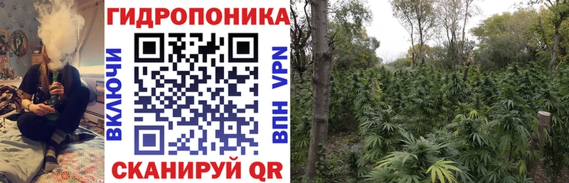 кракен как зайти  Новоульяновск  Каннабис планчик 